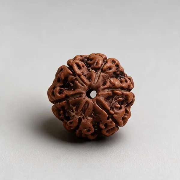 Nepali_7_Mukhi_Rudraksha_Spiritual_Bead