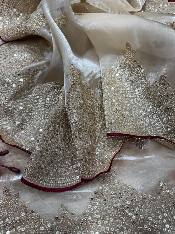Champagne_Gold_Soft_Jimmy_Choo_Saree_with_Sequin_&_Zari_Embroidery_Work_and_Red_Designer_Blouse