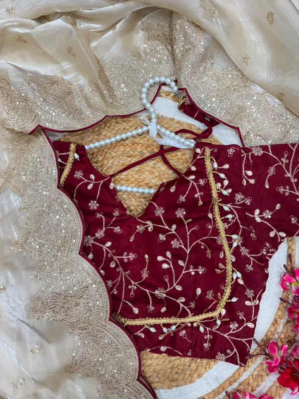 Champagne_Gold_Soft_Jimmy_Choo_Saree_with_Sequin_&_Zari_Embroidery_Work_and_Red_Designer_Blouse