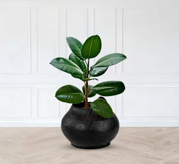 Matka_Planter_-_15_Inches