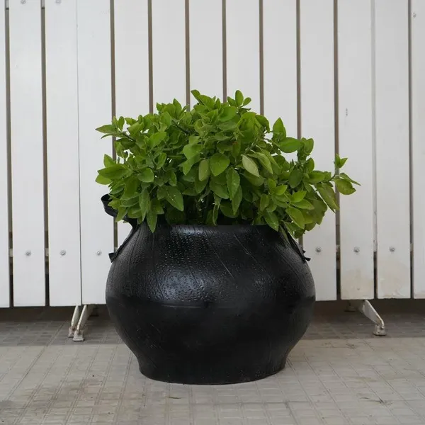 Matka_Planter_with_Handle_-_14_Inches
