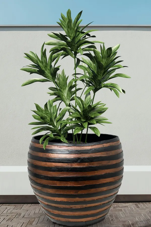 Designer_Pot_2