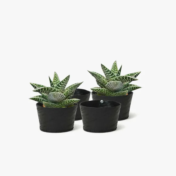 Small_Pot_-_4-5_Inches
