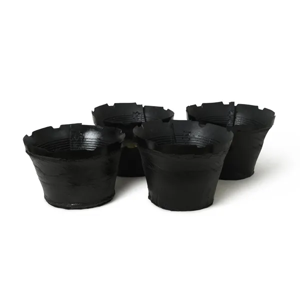 Small_Pot_-_5-6_Inches