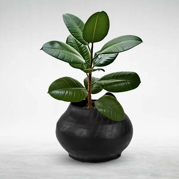 Matka_Planter_-_15_Inches