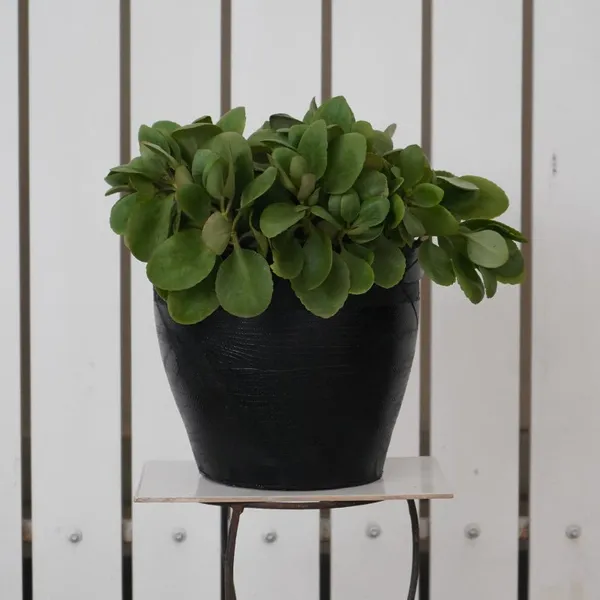 Classic_Planter_-_12_Inches