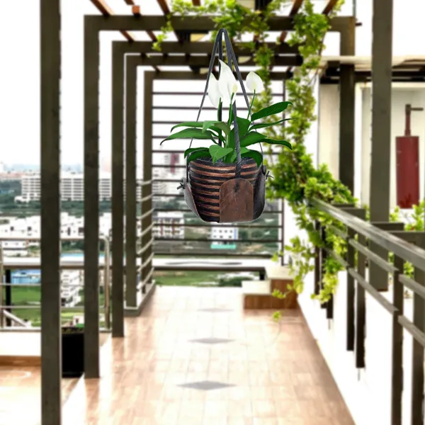 Cross_Plant_Hanger_2