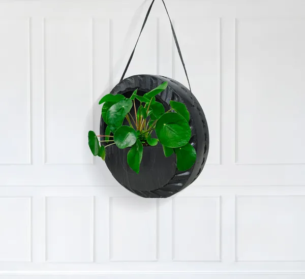 Round_Plant_Hanger