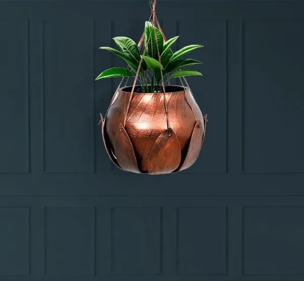 Lotus_Plant_Hanger_1