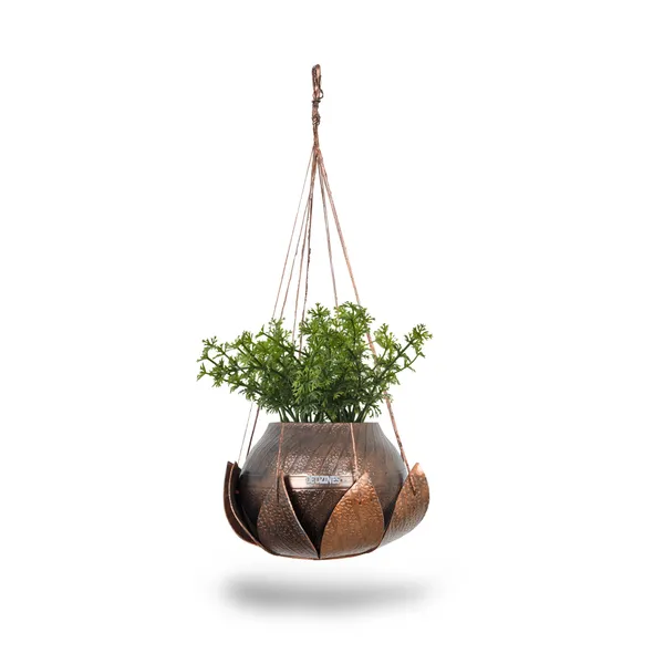 Lotus_Plant_Hanger_1