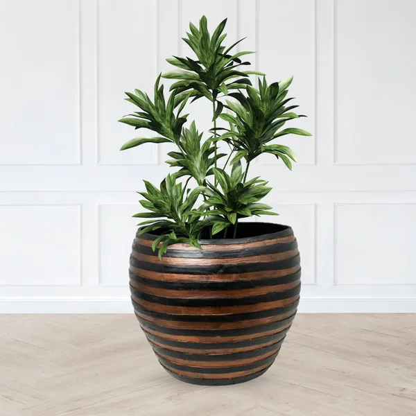 Designer_Pot_2