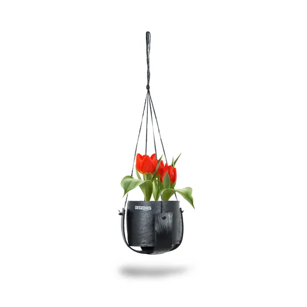 Plus_Plant_Hanger
