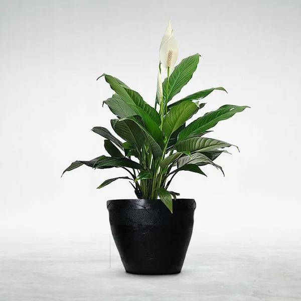 Classic_Planter_-_12_Inches