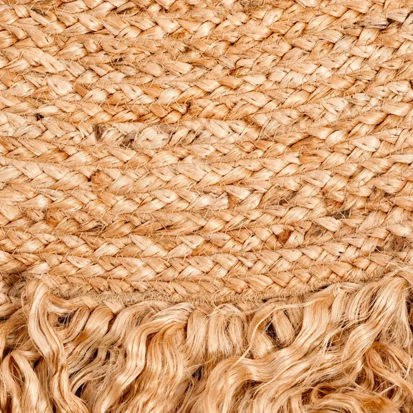 Zarié_Saanjh_|_Fringed_Edge