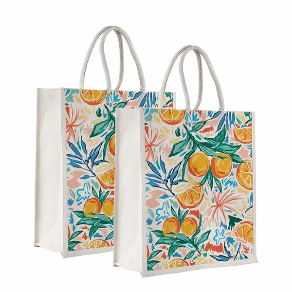 Canvas_Bag_With_Zipper_-_Pack_of_2