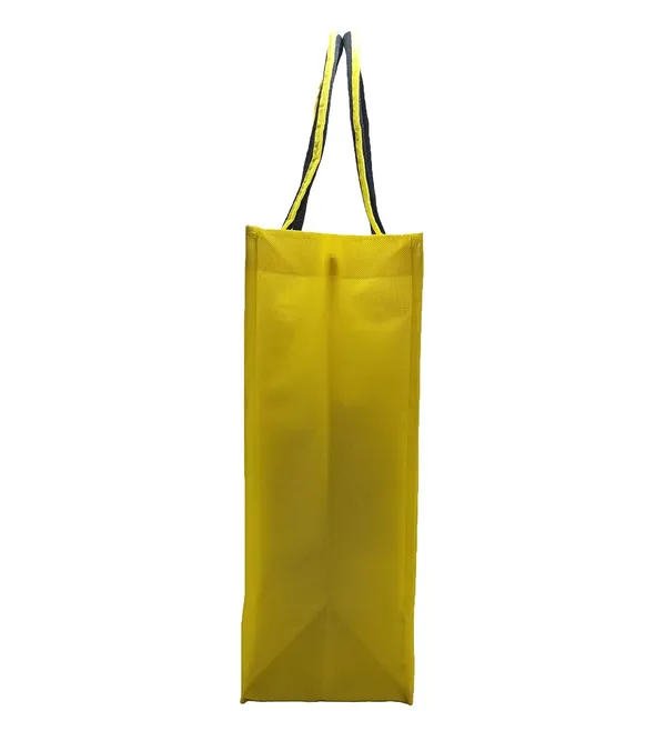 Pvc_Bag_with_Non_Woven_Sides