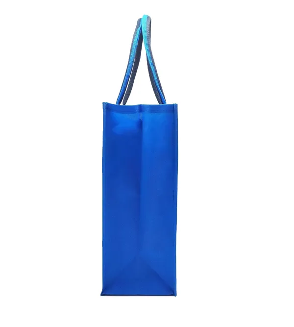 Pvc_Bag_with_Non_Woven_Sides