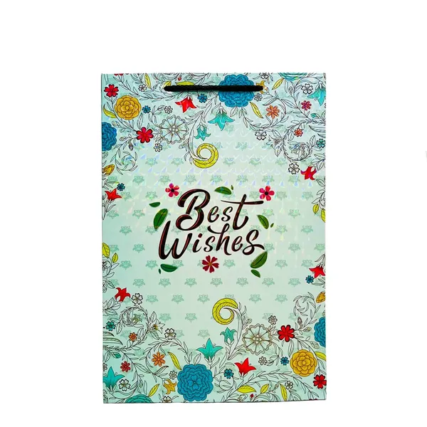 Paper_Gift_Bags_-_Pack_of_6