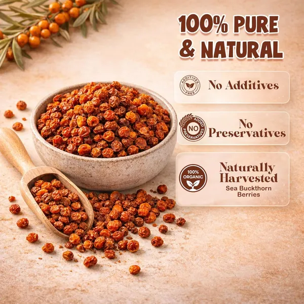 Organic_Dried_Sea_Buckthorn_Berries