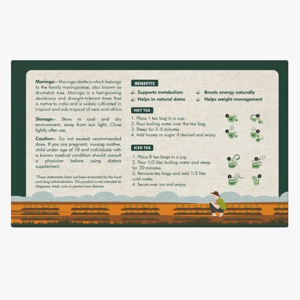 Mr_Moringa_Moringa_Green_Tea_30_Tea_Bags