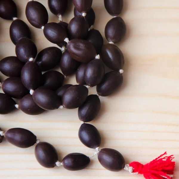 Lotus_Seed_Kamal_Gatta_Mala_108_Beads_For_Lakshmi_Puja