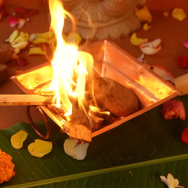 Cow_Dung_Cakes_For_Havan_Puja__-_Pack_of_24
