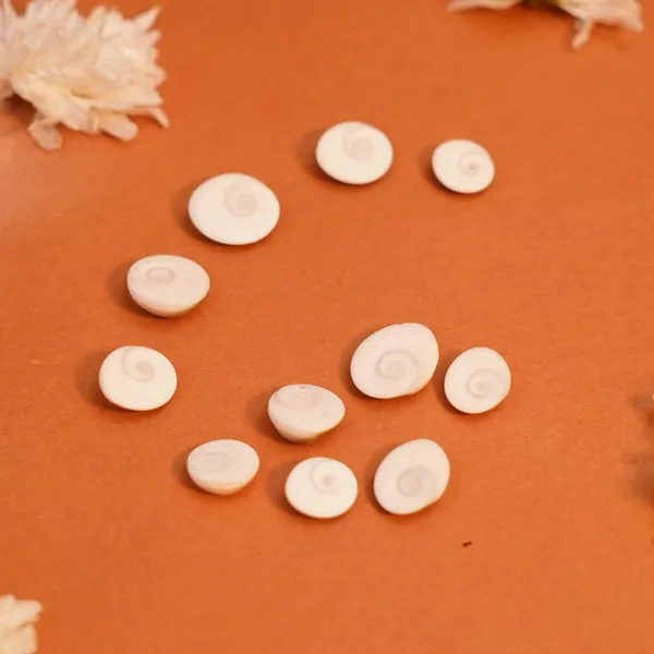 Natural_Gomti_Chakra_For_Lakshmi_Puja_Vastu_Pack_Of_22