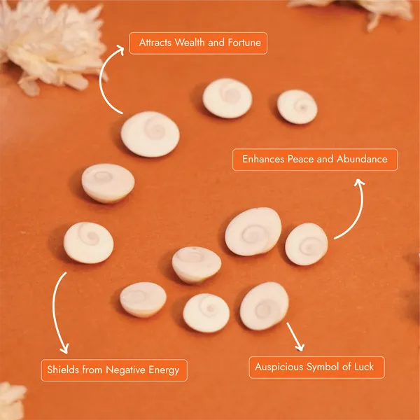 Natural_Gomti_Chakra_For_Lakshmi_Puja_Vastu_Pack_Of_22