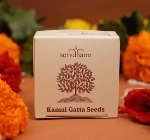 Lotus_Kamal_Gatta_Seeds_For_Lakshmi_Puja_Pack_Of_22