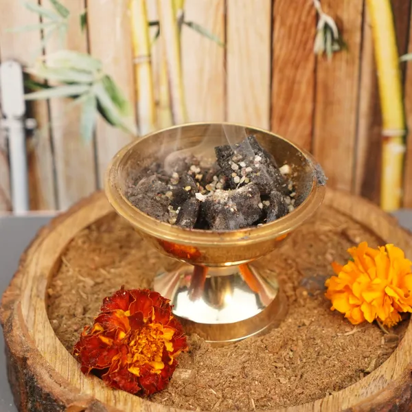 Natural_Shaligram_Stone_For_Vishnu_Puja_Abhishek_-_Pack_Of_2