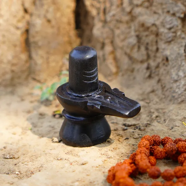 Natural_Gomti_Chakra_For_Lakshmi_Puja_Vastu