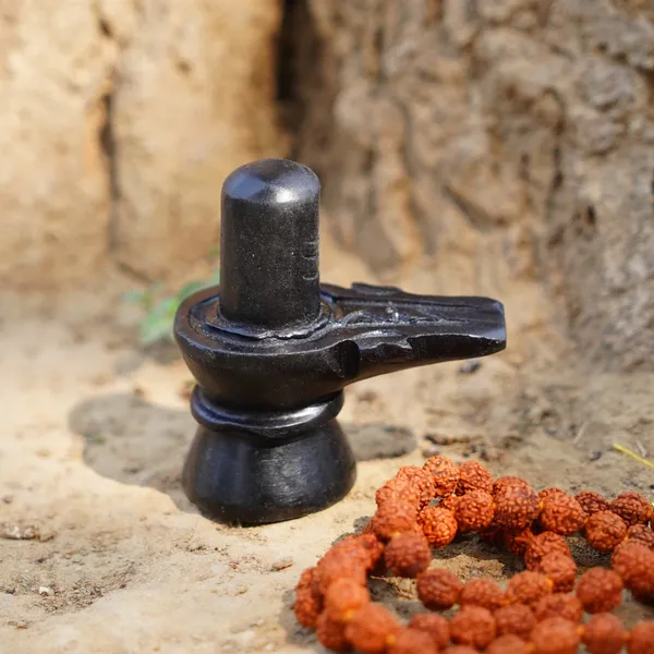 Natural_Gomti_Chakra_For_Lakshmi_Puja_Vastu