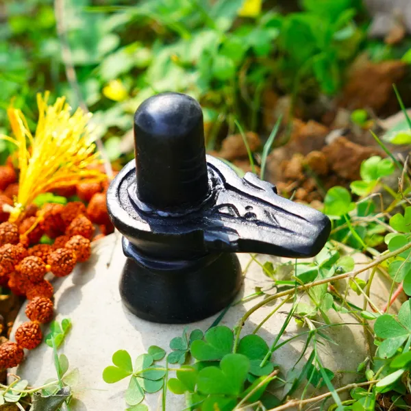 Natural_Gomti_Chakra_For_Lakshmi_Puja_Vastu