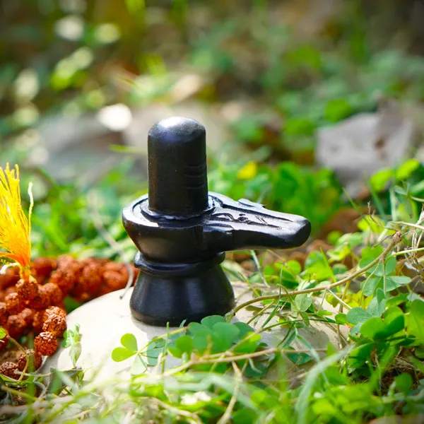 Natural_Gomti_Chakra_For_Lakshmi_Puja_Vastu
