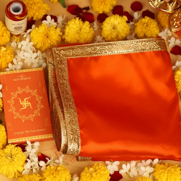Natural_Kauri_Shells_For_Puja_Lakshmi_Rituals_-_Pack_Of_2