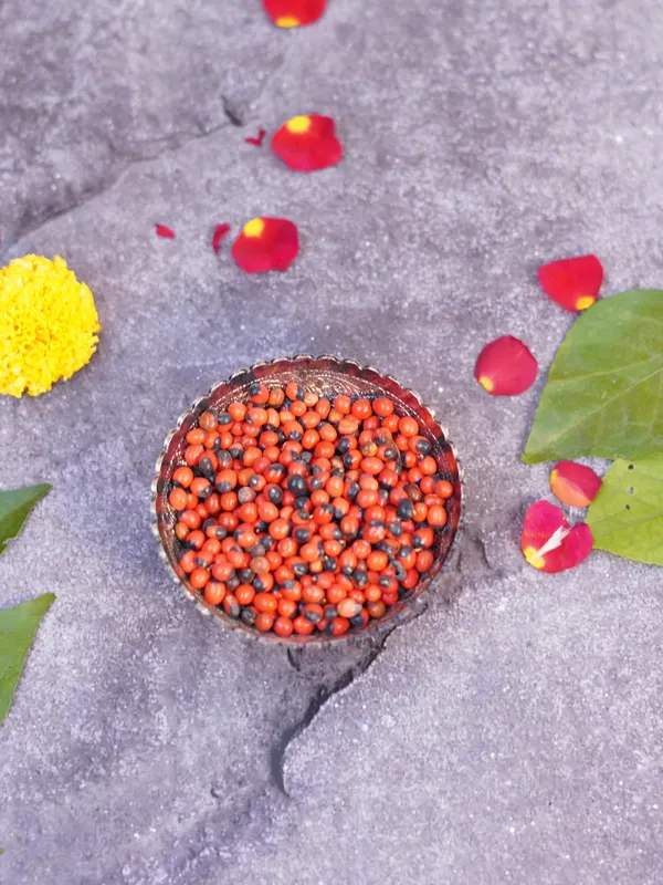 Lal_Gunja_Chirmi_Seeds_For_Pooja_-_Pack_Of_2
