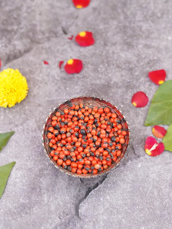 Lal_Gunja_Chirmi_Seeds_For_Pooja_-_Pack_Of_2