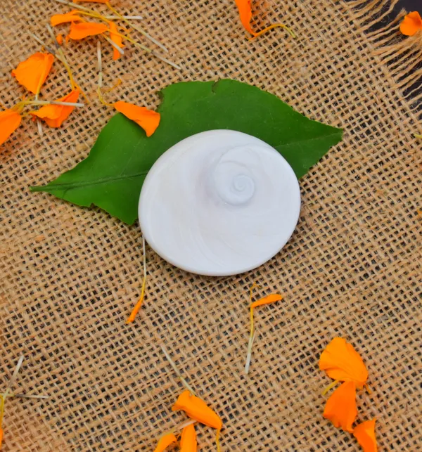 Natural_Gomti_Chakra_Wealth_Prosperity_Charm_-_Pack_Of_2