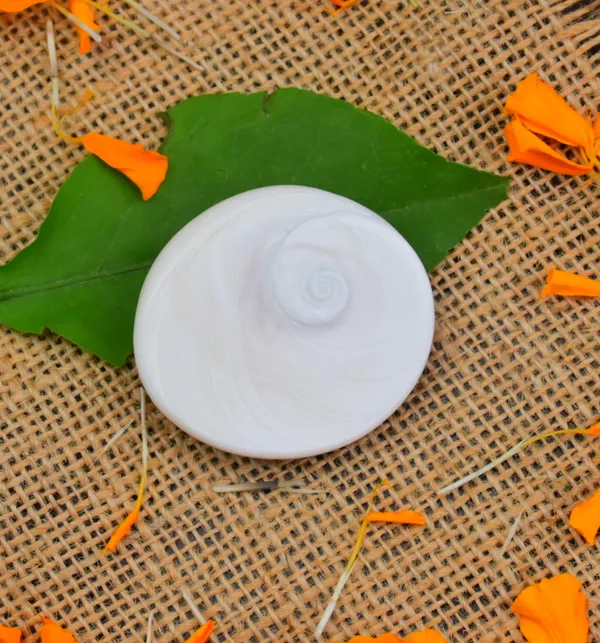 Natural_Gomti_Chakra_Wealth_Prosperity_Charm_-_Pack_Of_2