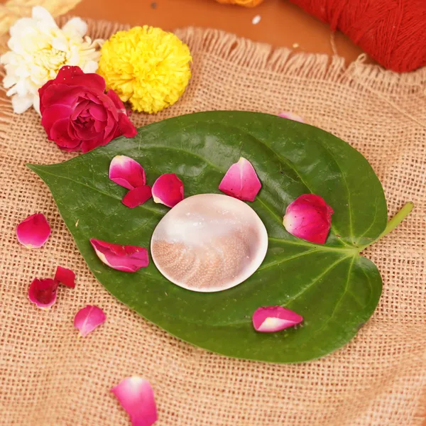 Natural_Gomti_Chakra_Wealth_Prosperity_Charm_-_Pack_Of_2