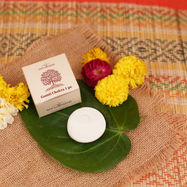 Natural_Gomti_Chakra_Wealth_Prosperity_Charm_-_Pack_Of_2