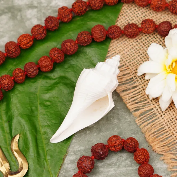 Liquid_Alta_For_Devi_Puja_&_Festive_Rituals