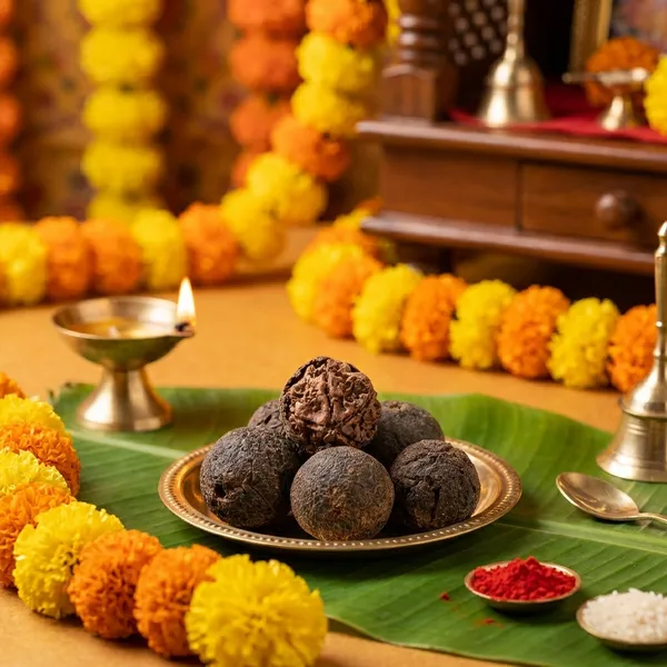 Natural_Rudraksha_Fruit__-_Pack_of_2