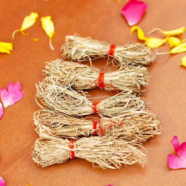 Dried_Durva_Doob_Grass_For_Ganesh_Puja_Havan_-_Pack_Of_2