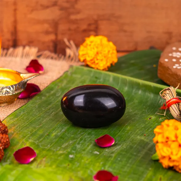 Natural_Shaligram_Stone_For_Vishnu_Puja_Abhishek