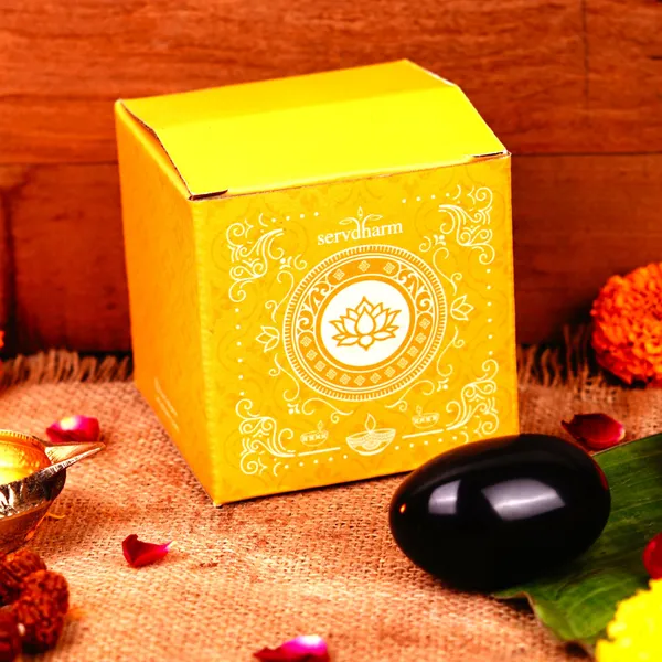 Natural_Shaligram_Stone_For_Vishnu_Puja_Abhishek
