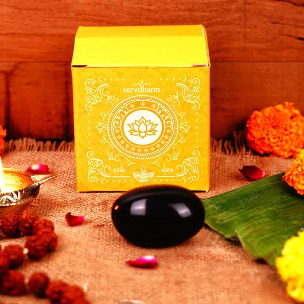 Natural_Shaligram_Stone_For_Vishnu_Puja_Abhishek