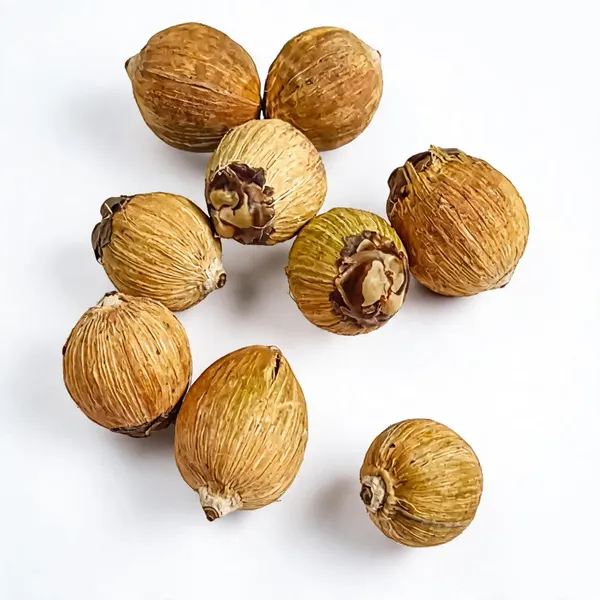 Natural_Coconut_Laghu_Nariyal_For_Puja_&_Kalash