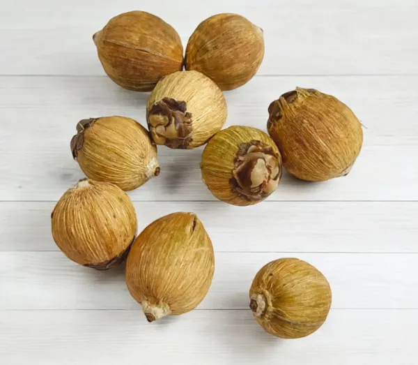 Natural_Coconut_Laghu_Nariyal_For_Puja_&_Kalash