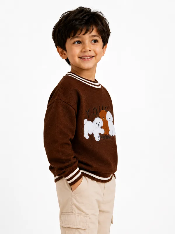 Brown_Knit_Regular_Fit_Sweater_For_Boys